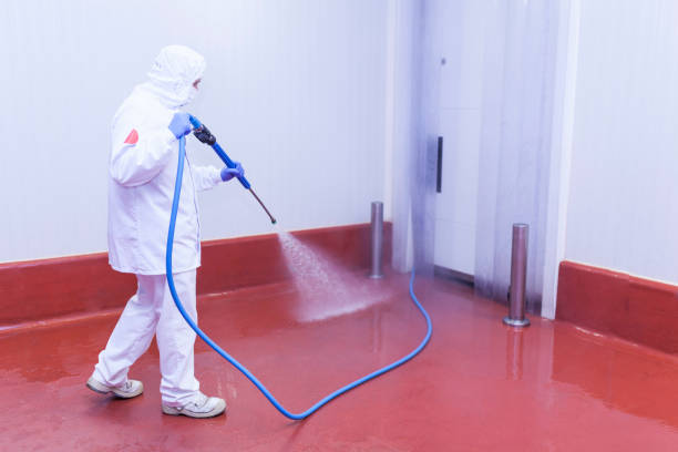 Best Building Exterior Washing  in Plattsburg, MO
